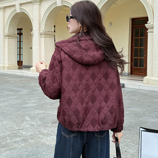 QYM 5959-Y时尚连帽短款外套宽松休闲上衣 商品图3