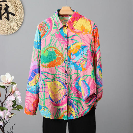 雀说新款文艺宽松大码显瘦长袖洋气彩色衬衫上衣AL3600 商品图2