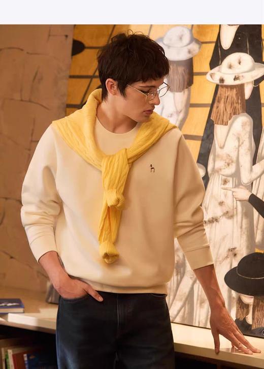 H@ZZYS 25新款右臂字母刺绣圆领卫衣 Z-15620 商品图3