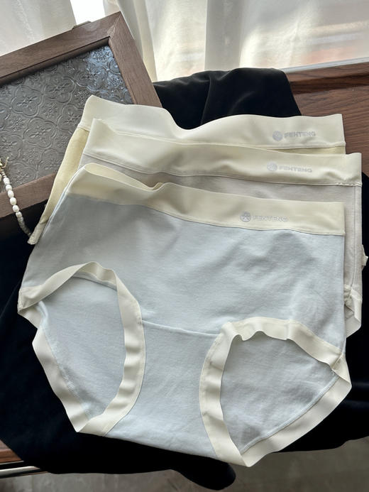 芬腾内裤7条 商品图3