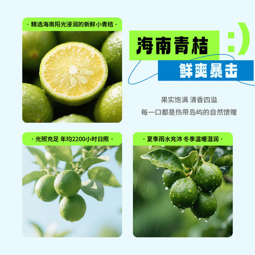 生态海盐小青桔汁饮料300ml*15瓶/箱 商品图2