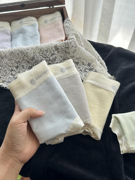 芬腾内裤7条 商品图1