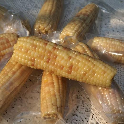 高山美物 010花糯玉米 云南百年老品种 非转基因  颗粒饱满 香中带甜 软中细糯 商品图1