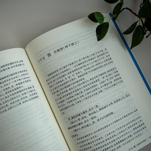 周易明意：周易哲学新探（修订版） 温海明 著 北京大学出版社 博雅文渊阁 商品图3