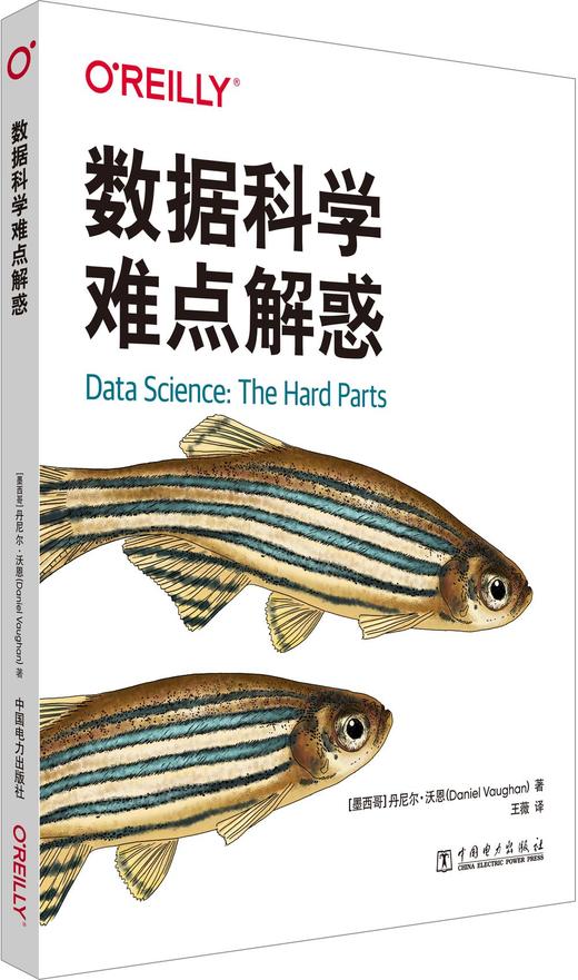 数据科学难点解惑 商品图0