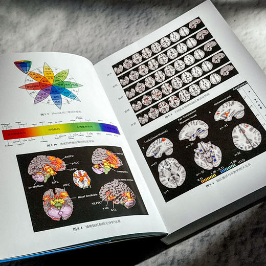 情绪心理学 当代中国心理科文库 国内外情绪心理学基础研究和应用领域成果 商品图6