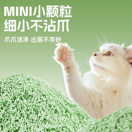 冒险与它 纯植豆腐猫砂2kg 绿茶植物芬芳除臭低尘结团 1箱=10袋 整吨联系请业务员 商品图3
