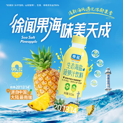 生态海盐菠萝汁饮料300ml*15瓶/箱 商品图0