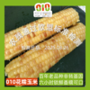 高山美物 010花糯玉米 云南百年老品种 非转基因  颗粒饱满 香中带甜 软中细糯 商品缩略图0