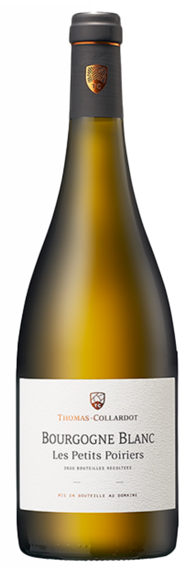 Domaine Thomas-Collardot Coteaux-Bourguignons Rouge Le Pierrot托马斯科拉多酒庄勃艮第山丘-皮耶罗园干红葡萄酒2022【Y】