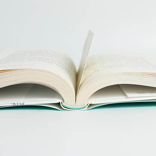 【签名·钤印版】黄基明《王赓武谈世界史：欧亚大陆与三大文明》 商品图7