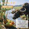 左江水牛纯牛奶210ml*10盒儿童学生成人营养早餐奶3.9g优质蛋白水牛奶 /水饮冲调 /常温奶 /基础牛奶 商品缩略图4