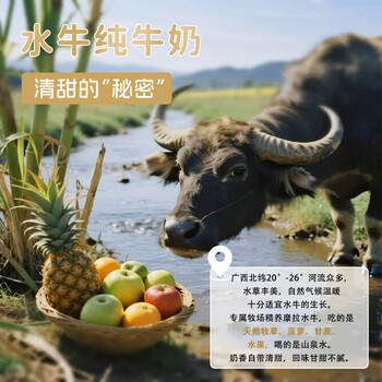 左江水牛纯牛奶210ml*10盒儿童学生成人营养早餐奶3.9g优质蛋白水牛奶 /水饮冲调 /常温奶 /基础牛奶 商品图4