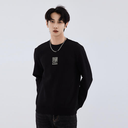 【新品上新】HX 秋季圆领卫衣简约大方S106533047101/02 商品图0