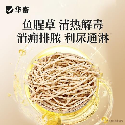 鱼腥草粉兽用消炎清热解毒猪牛羊开胃禽鸡鸭鹅用呼吸道饲料添加剂 商品图2