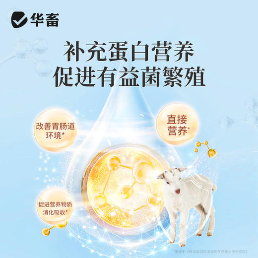 华畜 排酸解毒宝1kg 牛羊瘤胃 胀气  过料严重 采食量下降 拉稀腹泻 商品图2