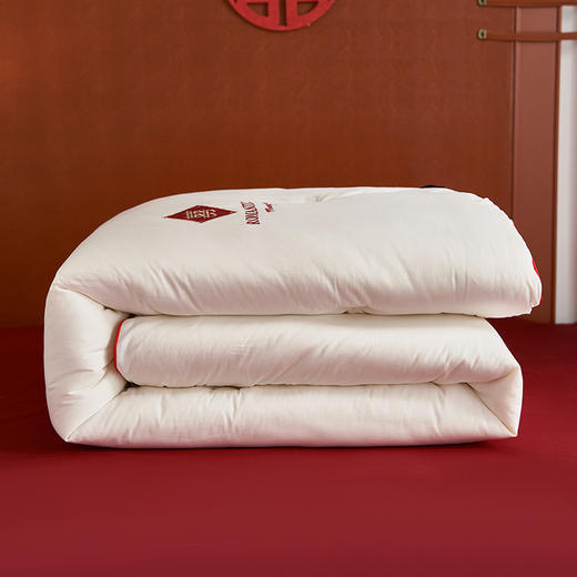 百丽安娜喜被200*230cm 商品图3