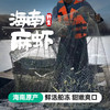 【无抗 无激素 真野生】海南现捞野生海南麻虾3斤礼盒装 顺丰冷链发货 仅限长沙地区发货 商品缩略图0