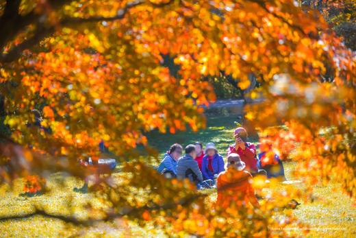 探秘韩境，红叶人文摄影之旅：内藏山、雪岳山、智异山三大红叶圣地8天 商品图6