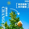 上海蜜桔|长兴岛“桔”时已到！6.7元起享蜜桔畅吃自由+带走3斤！ 商品缩略图0
