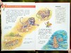 《来问我吧：德国百科全书绘本》(全20册）， 德国原版引进，“亚马逊五星级好书”，数十位德国科学家、作家、画家联手打造。 商品缩略图4