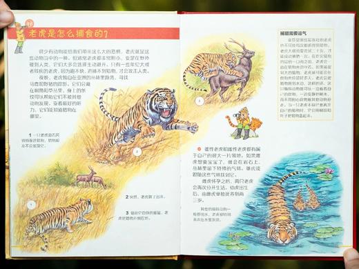 《来问我吧：德国百科全书绘本》(全20册）， 德国原版引进，“亚马逊五星级好书”，数十位德国科学家、作家、画家联手打造。 商品图4