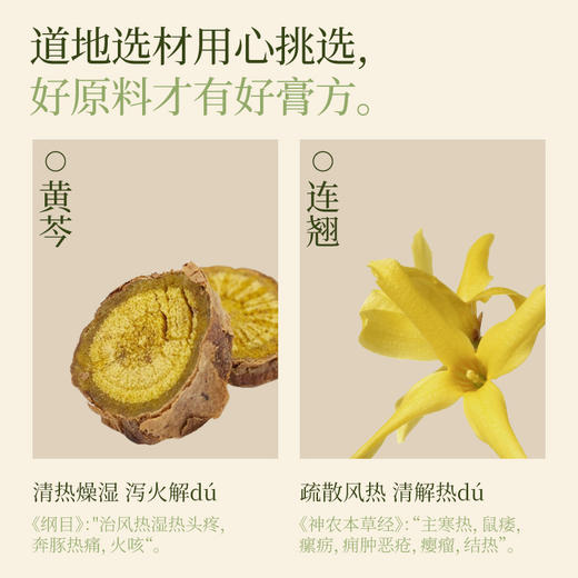 真不二黄芩连翘退退贴2贴/袋，2袋/盒。效期至2027.1月 商品图3