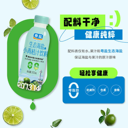 生态海盐小青桔汁饮料300ml*15瓶/箱 商品图1