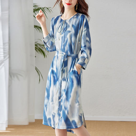 丁摩新款桑蚕丝连衣裙显瘦中年长袖高贵气质真丝印花裙AL3758 商品图1