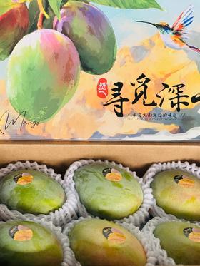 【月满福满】礼盒『凯特大芒果』甜蜜多汁，肉质紧实，果香浓郁