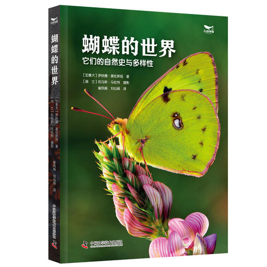 蝴蝶的世界  蝴蝶的演化密码与生存智慧 商品图1