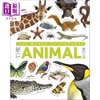 预售 【中商原版】动物百科The Animal Book A Visual Encyclopedia 英文原版 DK 儿童百科全书 动物爱好者 商品缩略图0