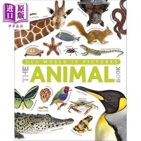 预售 【中商原版】动物百科The Animal Book A Visual Encyclopedia 英文原版 DK 儿童百科全书 动物爱好者