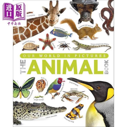 预售 【中商原版】动物百科The Animal Book A Visual Encyclopedia 英文原版 DK 儿童百科全书 动物爱好者 商品图0