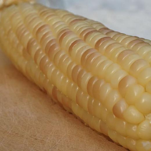高山美物 010花糯玉米 云南百年老品种 非转基因  颗粒饱满 香中带甜 软中细糯 商品图5