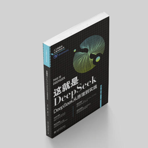这就是DeepSeek：DeepSeek从原理到实践 王卓 薛栋 隆建 著 北京大学出版社 商品图2
