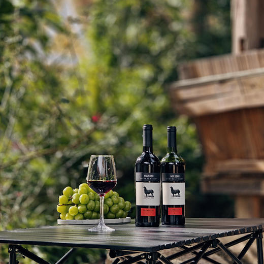 【内部老客纯福利】【此酒已经过品鉴认证；一致好评】线下经销商红酒专柜撤柜亏钱出售一批库存红酒；2020年10月份【原瓶进口】智利莫松中央山谷佳美娜干红葡萄酒；13%750ml/瓶整箱6支 商品图4