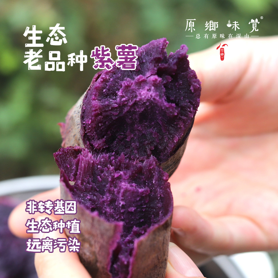 【排单，3-5天发货】生态老品种紫薯/红薯（基地直发-圆通包邮）|5斤装，来自四川简阳，生产者：范华侨、张勇【合作生产，公平贸易】