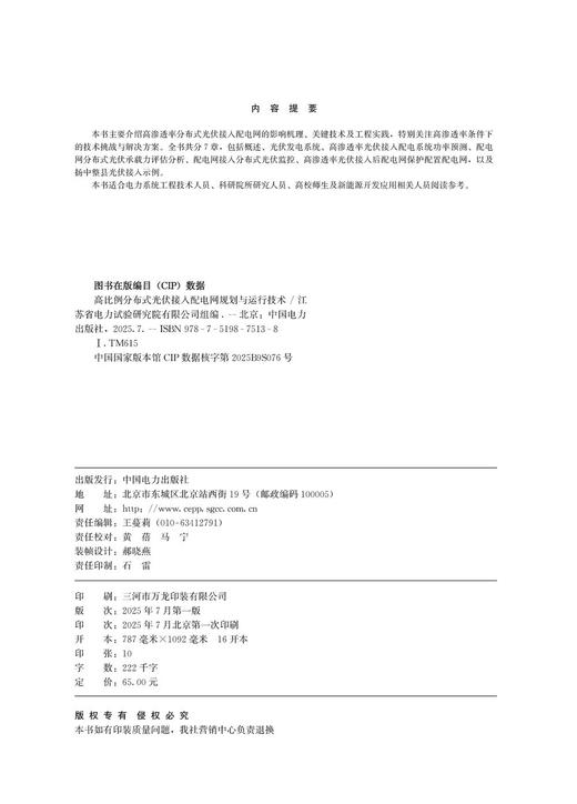 高比例分布式光伏接入配电网规划与运行技术 商品图3