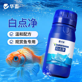 华畜白点净水族鱼缸真菌感染水霉白毛烂鳍充血观赏鱼入缸必备