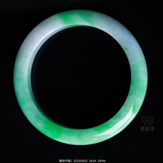 【春意盎然】飘绿手镯1 SZ2503031 商品图0