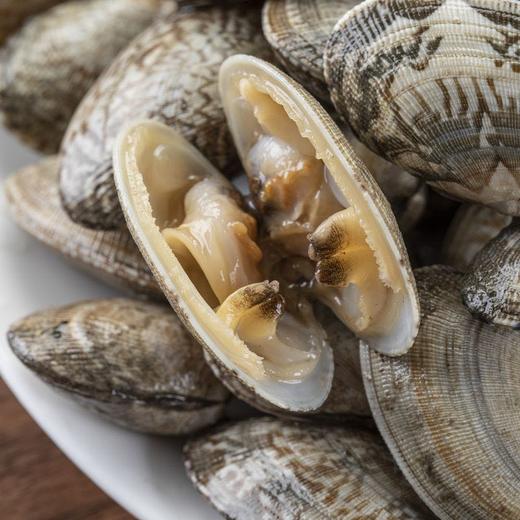 【海鲜】花板蛤 商品图2