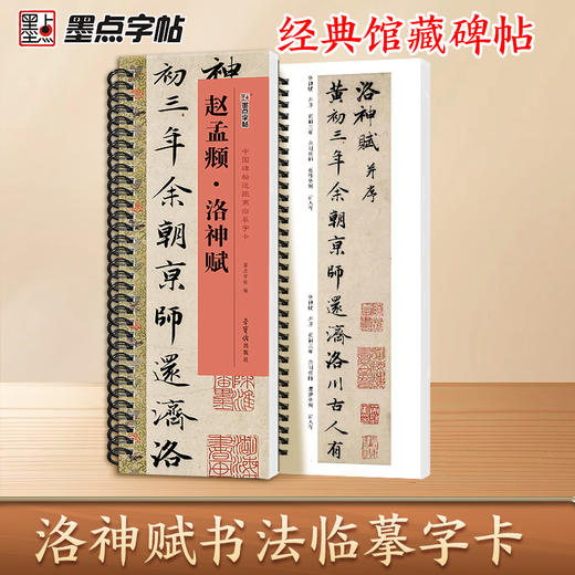 赵孟俯字帖行书 近距离临摹字卡赵孟頫洛神赋行书字帖墨点临摹本赵体洛神赋十三行初学者毛笔书法字帖毛笔赵孟俯碑帖行书字帖 商品图2