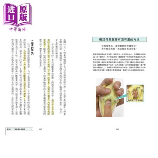 【中商原版】  宠物鸟发情应对手册 从鸟宝性知识 下蛋到发情行为处理 鸟名医给饲主的幸福教科书	海老泽和庄 一起来	港台原版 商品图3