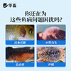 华畜白点净水族鱼缸真菌感染水霉白毛烂鳍充血观赏鱼入缸必备 商品缩略图1
