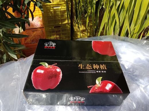 【顺丰快递】天水花牛苹果  脆粉糯 刮泥 面苹果DBXS 商品图8