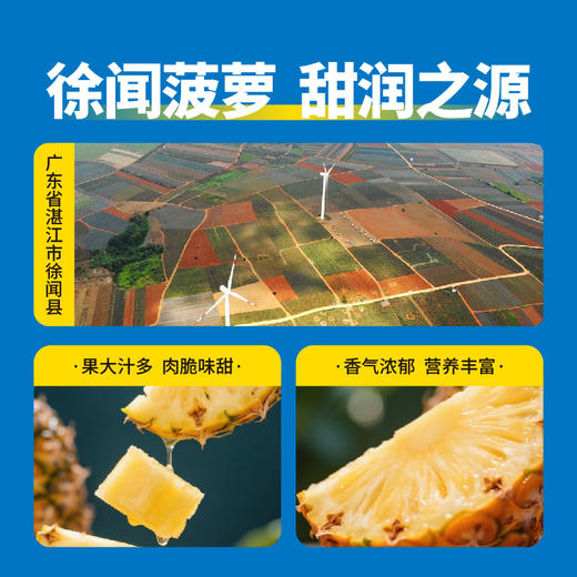 生态海盐菠萝汁饮料300ml*15瓶/箱 商品图2