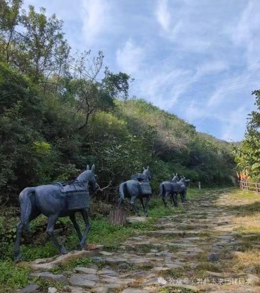 【乐淙徒步千年古道，清山亲子公益行】孩子送 2 小时公益时长，下单表示同意下方免责声明 商品图1