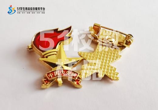 定制深圳市智园学校包边校徽定做礼服布标姓名贴胸章可缝制包邮51 商品图2