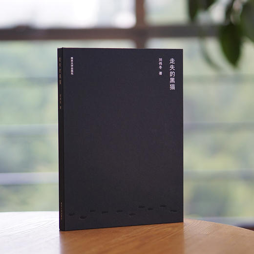 走失的黑猫 刘伟冬诗集 诗歌/文学 精装裸脊，黑纸印银 商品图1